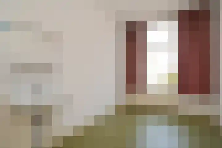 1e Sweelinckstraat 68 Den Haag thumbnail 47