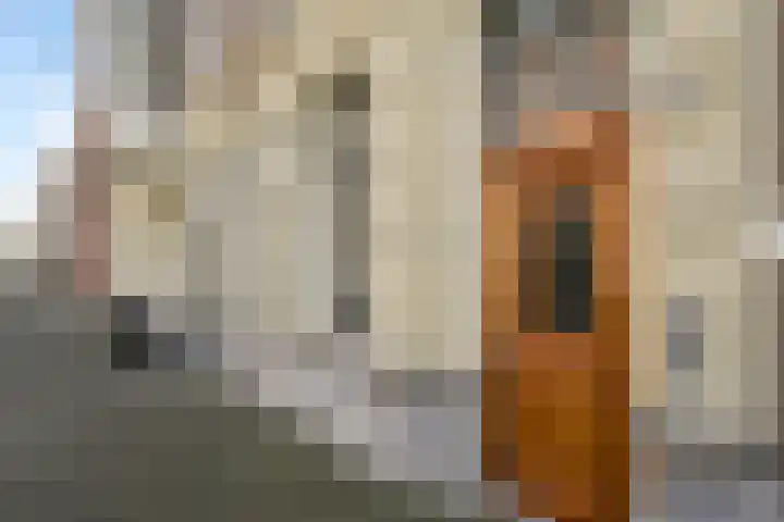 1e Sweelinckstraat 68 Den Haag thumbnail 5