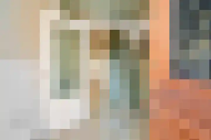 1e Sweelinckstraat 68 Den Haag thumbnail 6