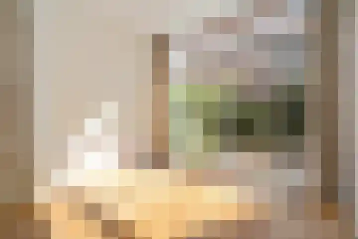 1e Sweelinckstraat 68 Den Haag thumbnail 8