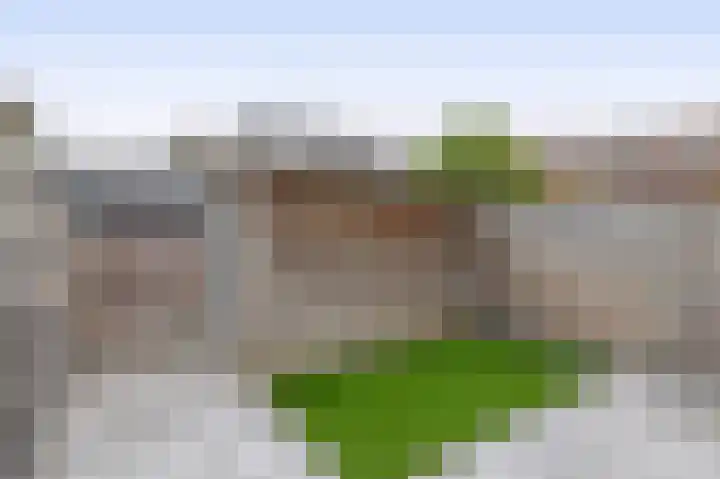 1e Terralaan 18 Capelle aan den IJssel thumbnail 39