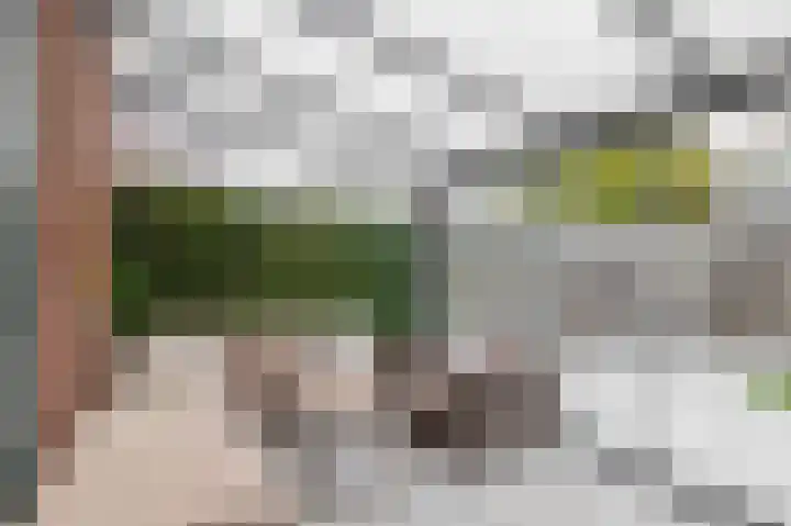 1e Terralaan 18 Capelle aan den IJssel thumbnail 4