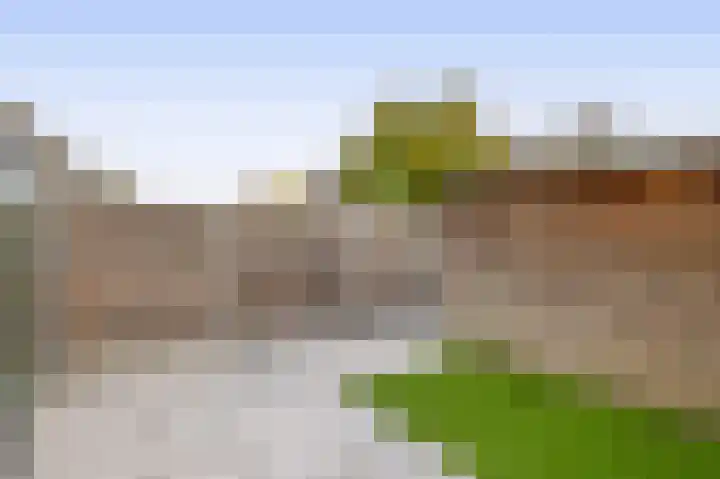 1e Terralaan 18 Capelle aan den IJssel thumbnail 40