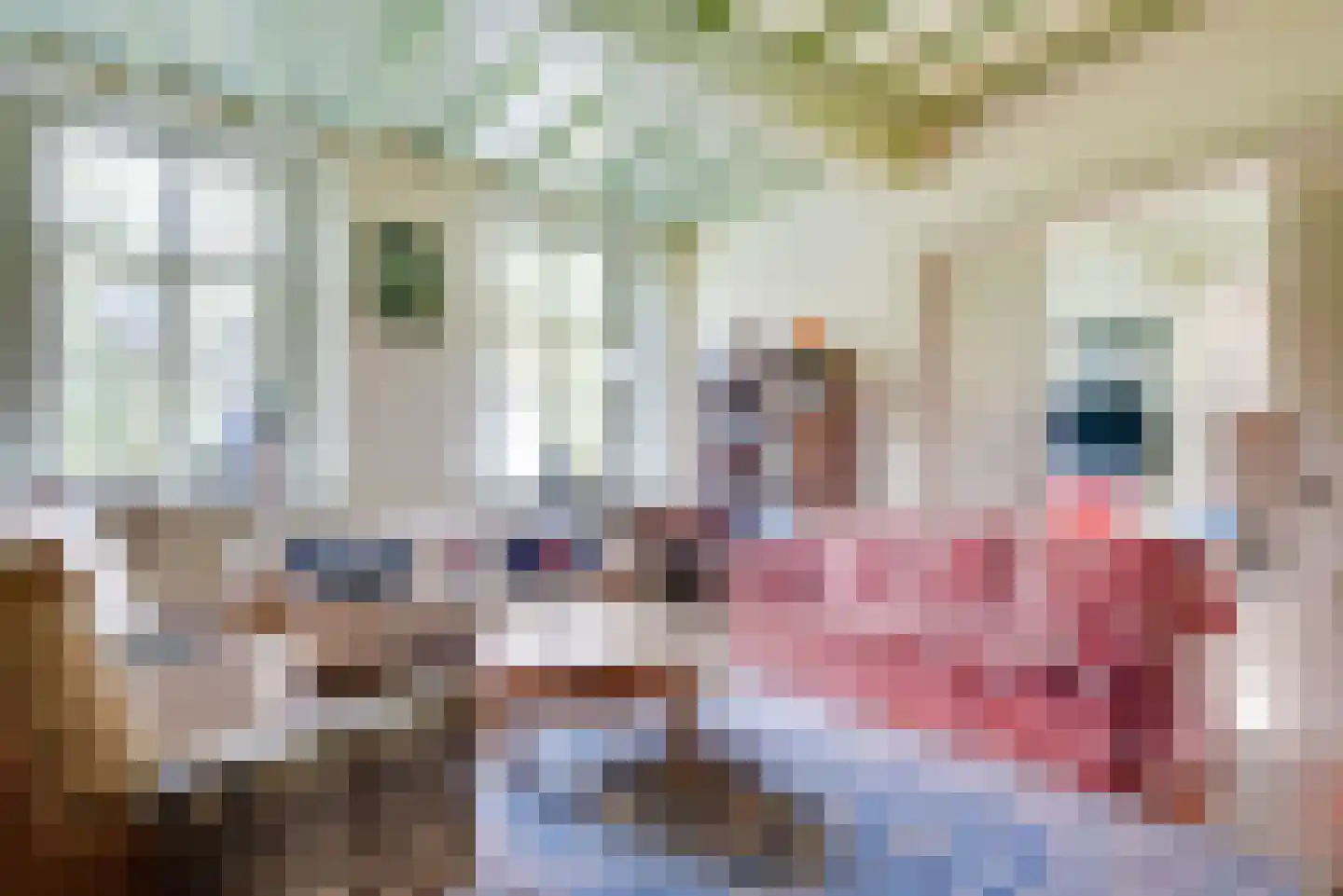 1e Tieflaarsestraat 15 Neerijnen thumbnail 30