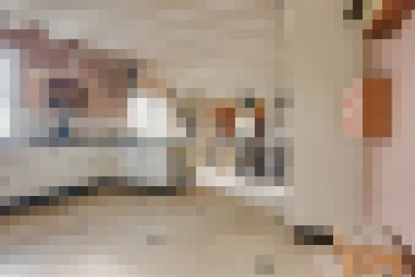 1e Tieflaarsestraat 15 Neerijnen thumbnail 35