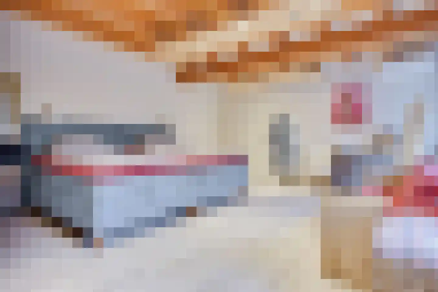 1e Tieflaarsestraat 15 Neerijnen thumbnail 37