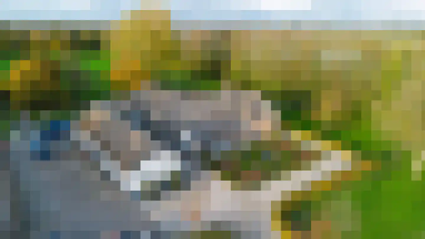 1e Tieflaarsestraat 15 Neerijnen thumbnail 4