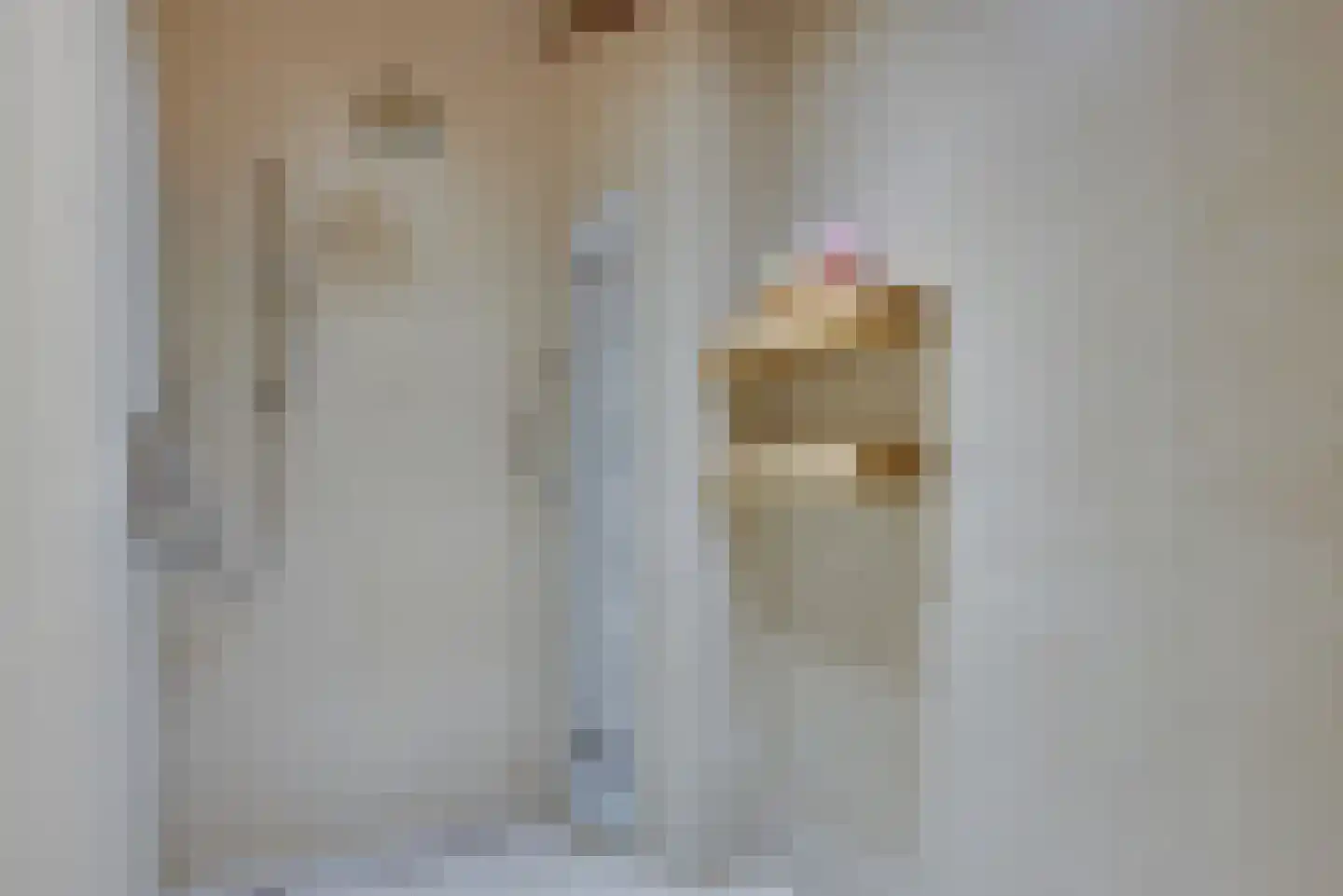 1e Tieflaarsestraat 15 Neerijnen thumbnail 40