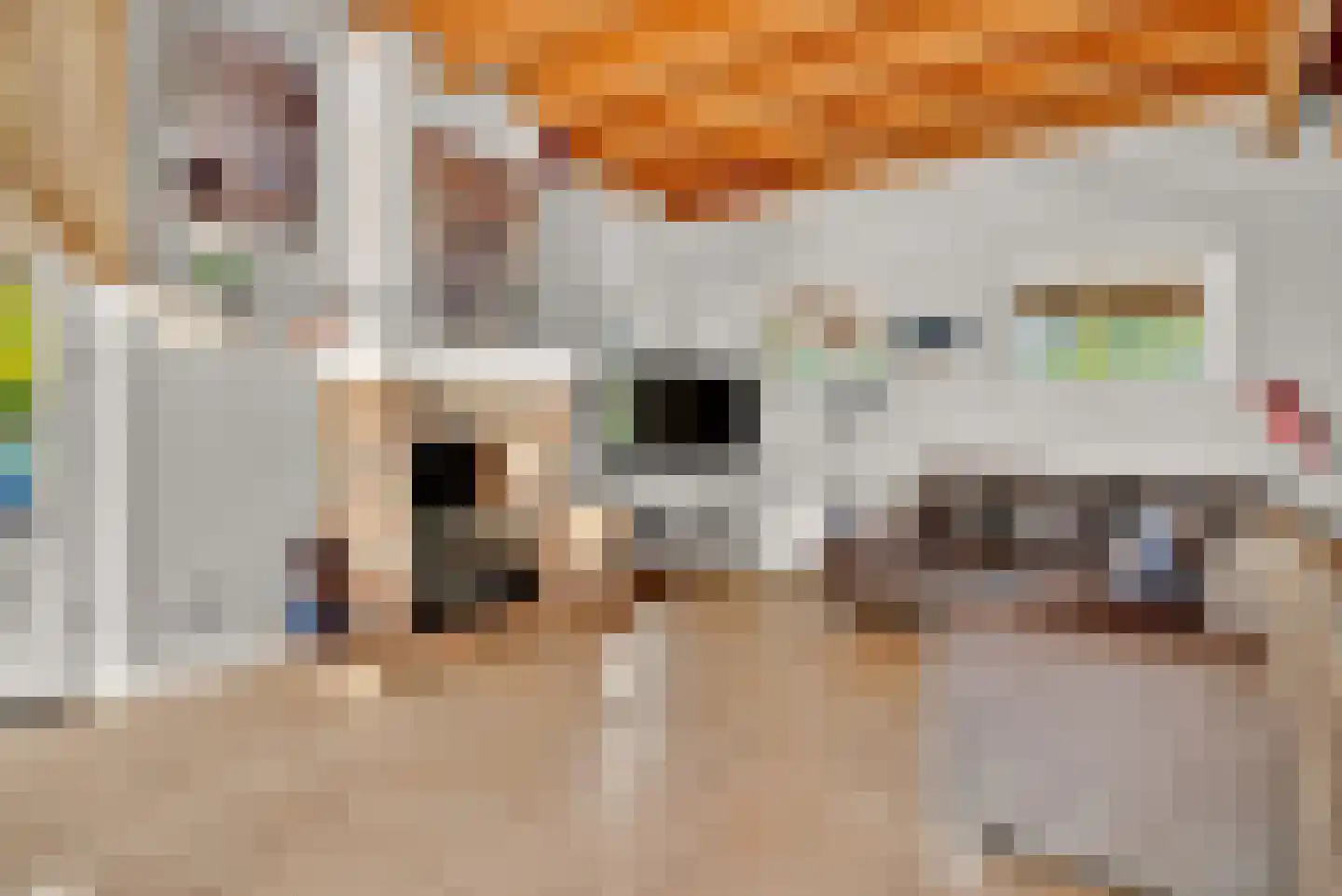 1e Tieflaarsestraat 15 Neerijnen thumbnail 43