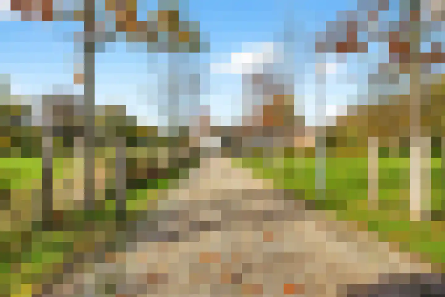 1e Tieflaarsestraat 15 Neerijnen thumbnail 8