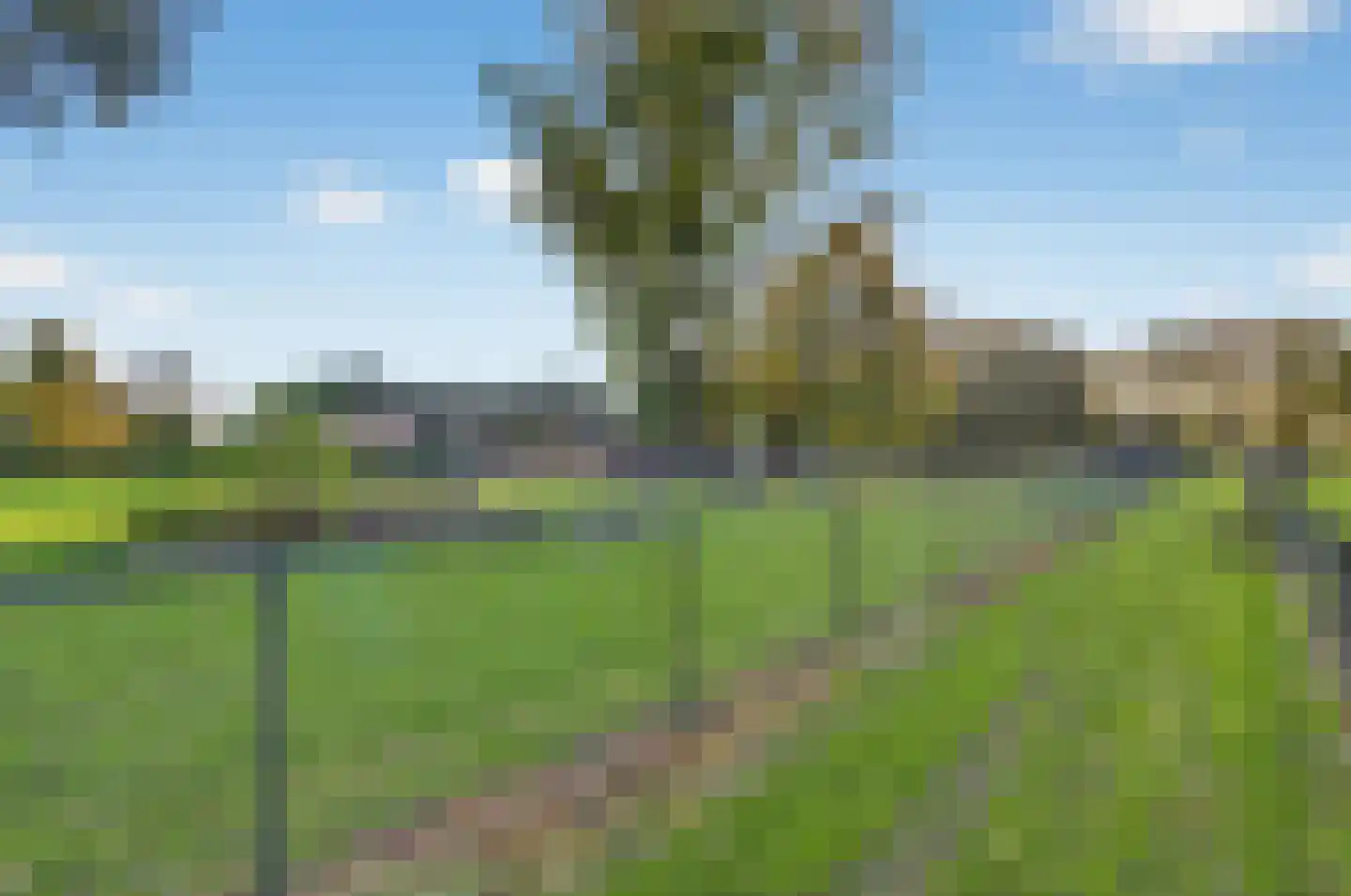 1e Tieflaarsestraat 15 Neerijnen thumbnail 93