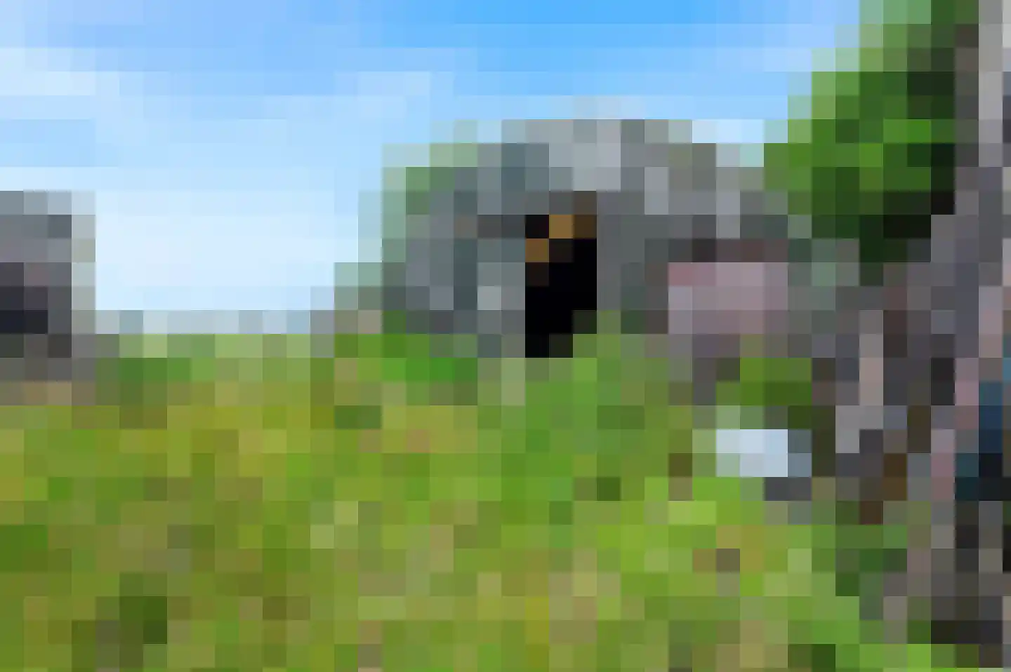 1e Tochtweg 36 Nieuwerkerk aan den IJssel thumbnail 10