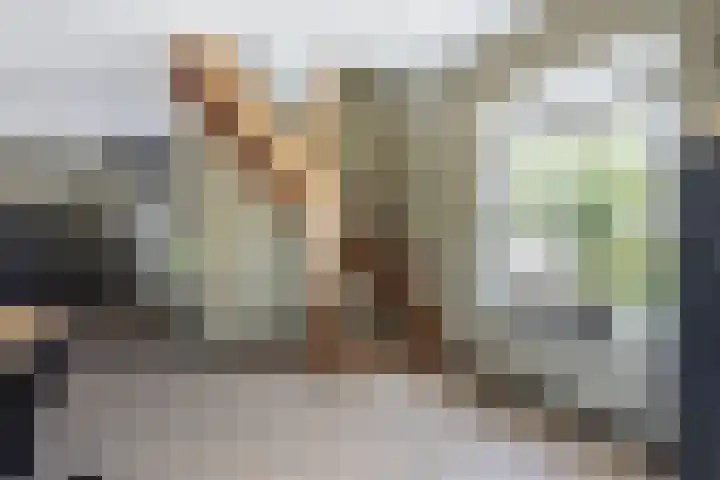 1e Tochtweg 64 Nieuwerkerk aan den IJssel thumbnail 12