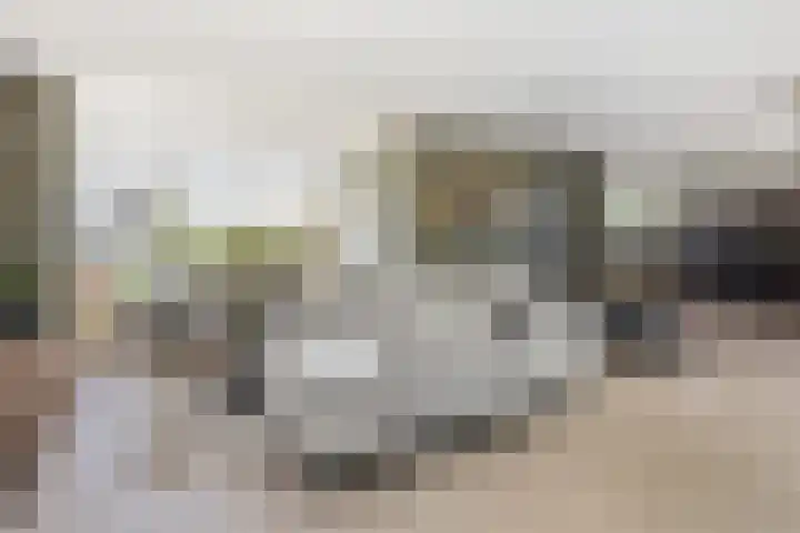 1e Tochtweg 64 Nieuwerkerk aan den IJssel thumbnail 4