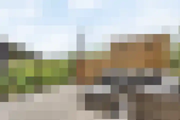 1e Tochtweg 64 Nieuwerkerk aan den IJssel thumbnail 49