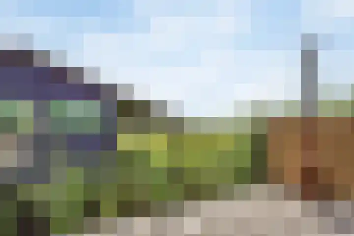 1e Tochtweg 64 Nieuwerkerk aan den IJssel thumbnail 50