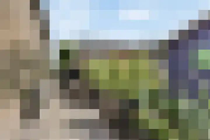 1e Tochtweg 64 Nieuwerkerk aan den IJssel thumbnail 51