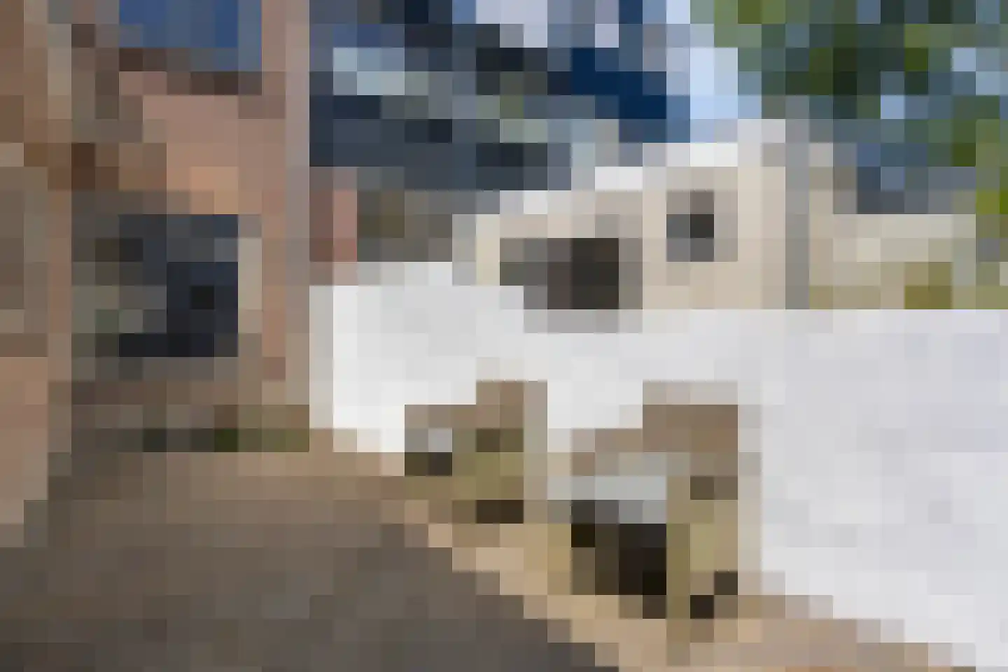 1e Tuindwarsstraat 16 Alkmaar thumbnail 24
