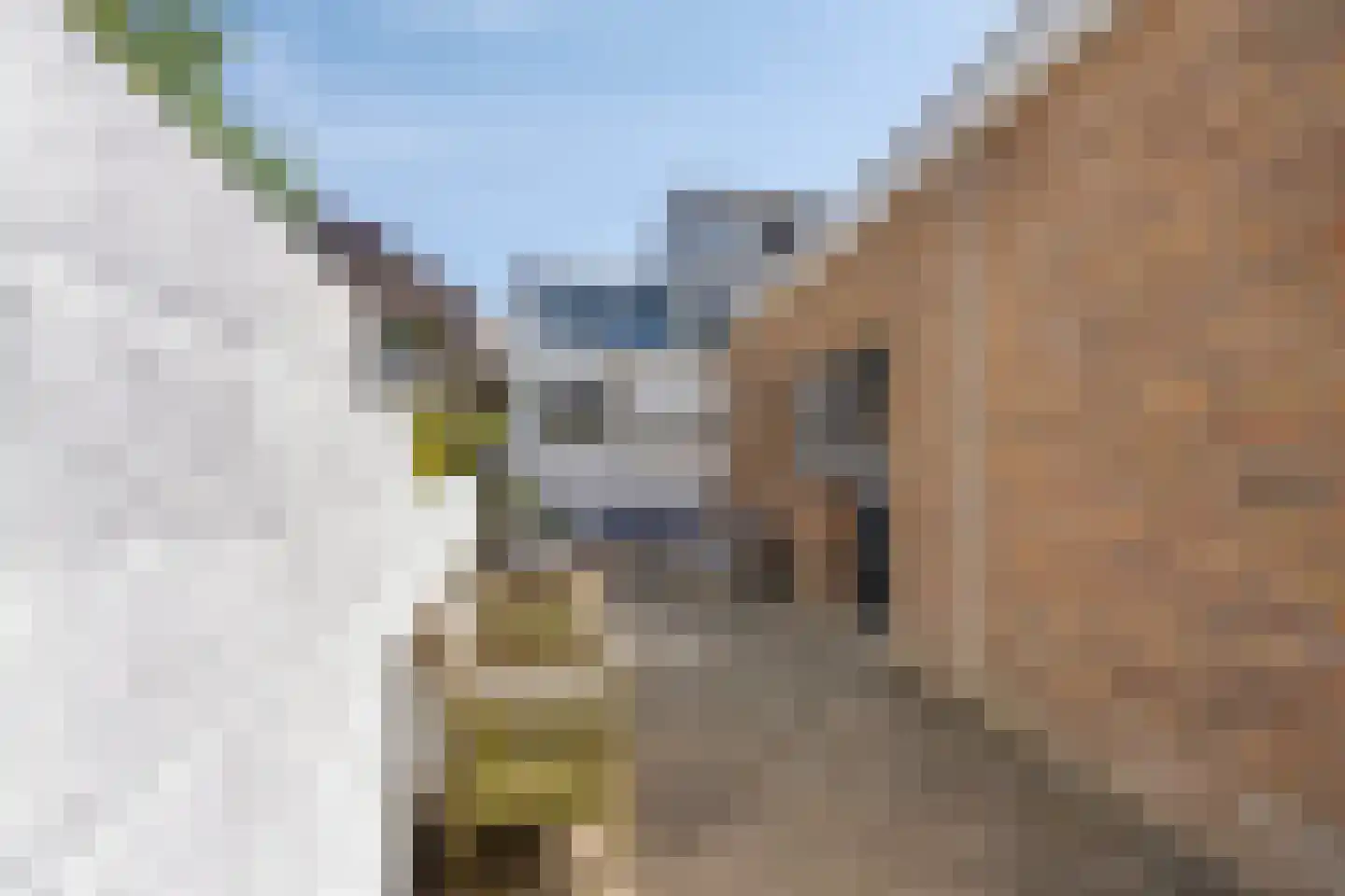 1e Tuindwarsstraat 16 Alkmaar thumbnail 27