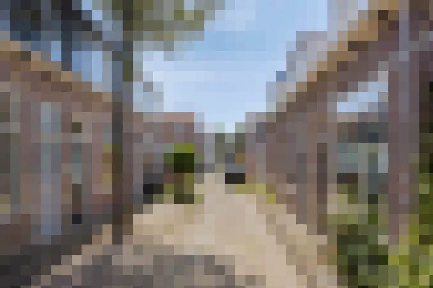 1e Tuindwarsstraat 16 Alkmaar thumbnail 32