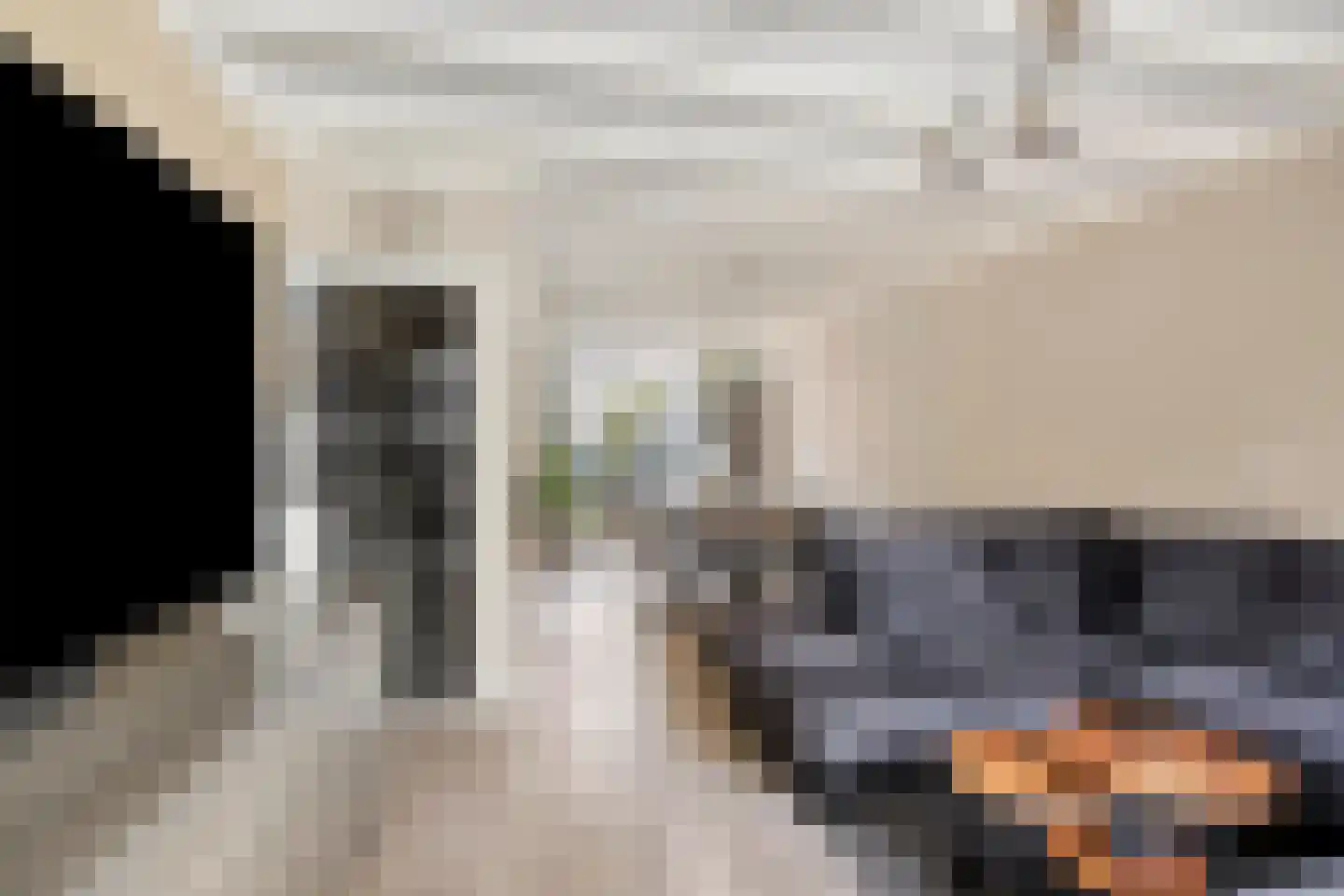1e Tuindwarsstraat 16 Alkmaar thumbnail 4