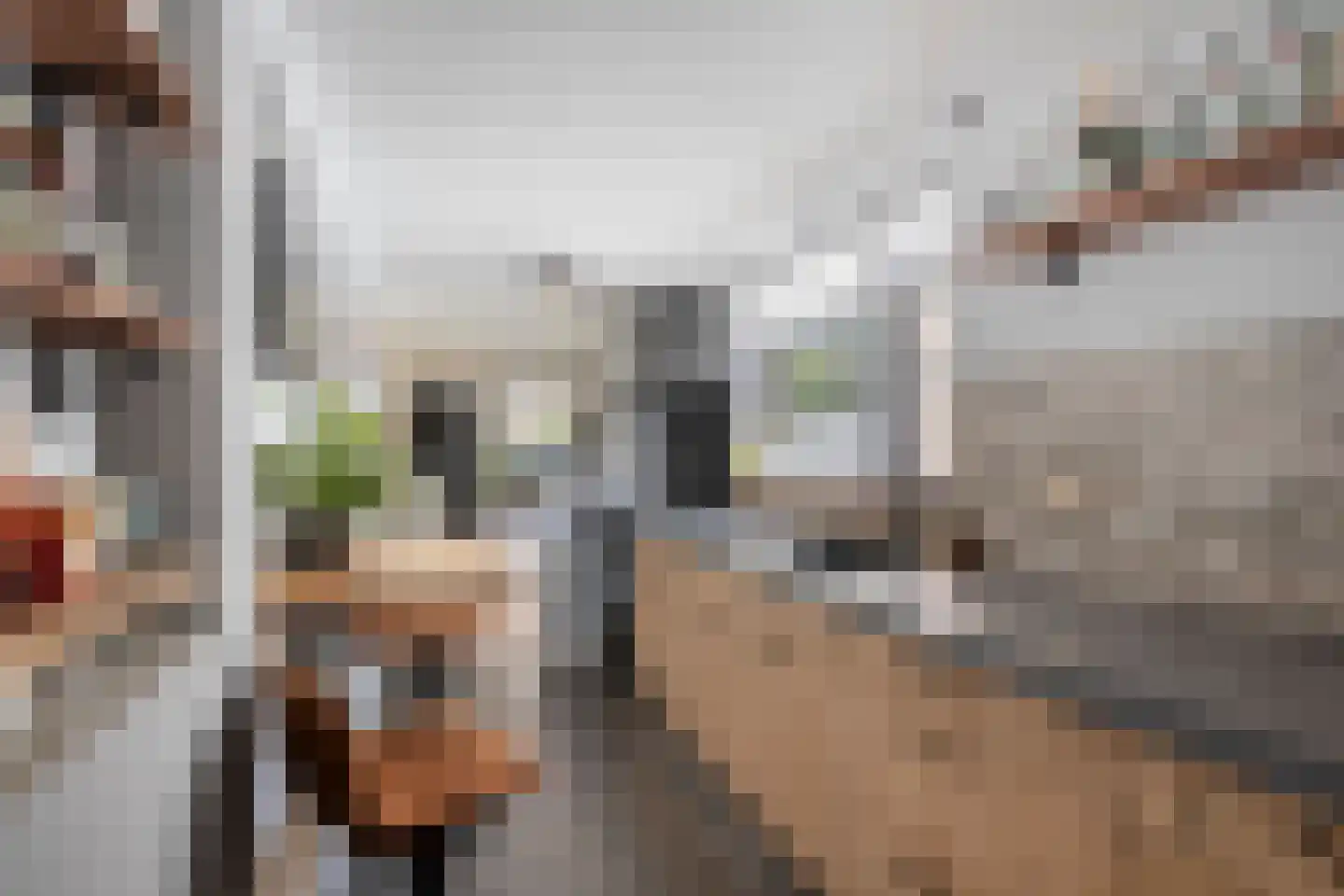 1e Tuindwarsstraat 16 Alkmaar thumbnail 6