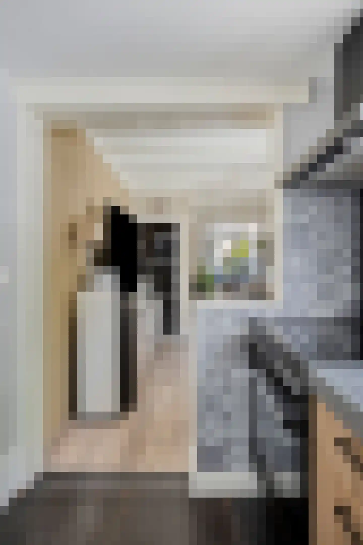 1e Tuindwarsstraat 16 Alkmaar thumbnail 8