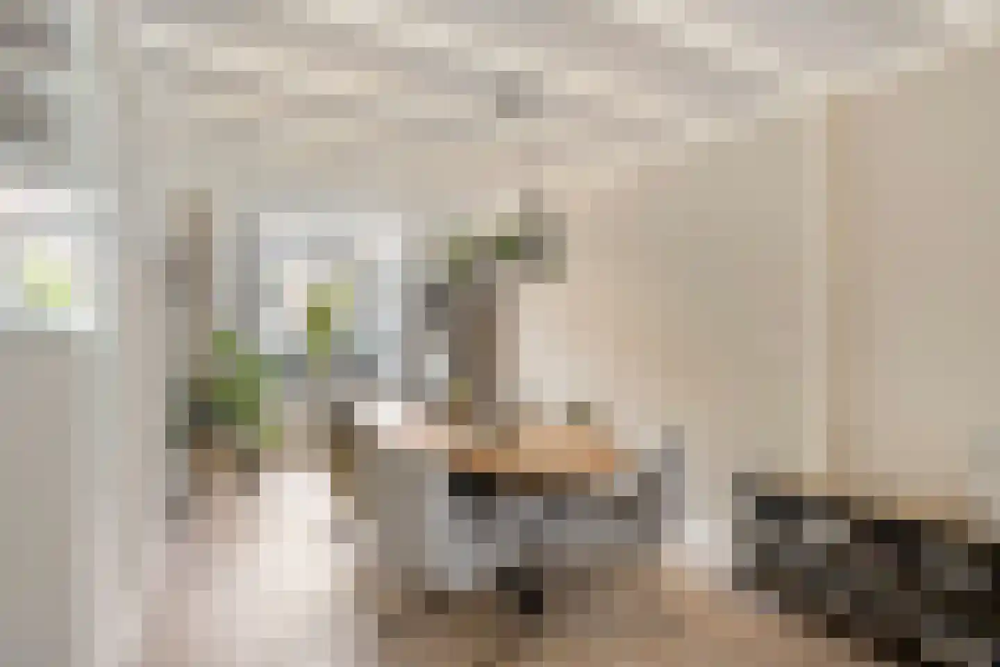 1e Tuindwarsstraat 16 Alkmaar thumbnail 9