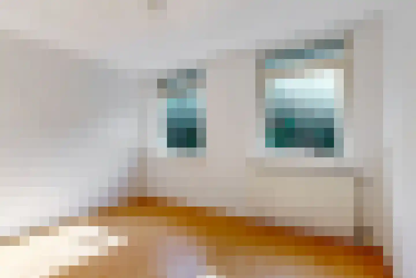 1e Tuindwarsstraat 4 Alkmaar thumbnail 13