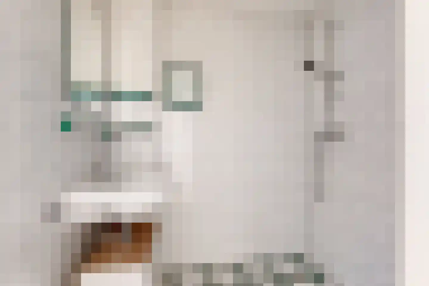 1e Tuindwarsstraat 4 Alkmaar thumbnail 18