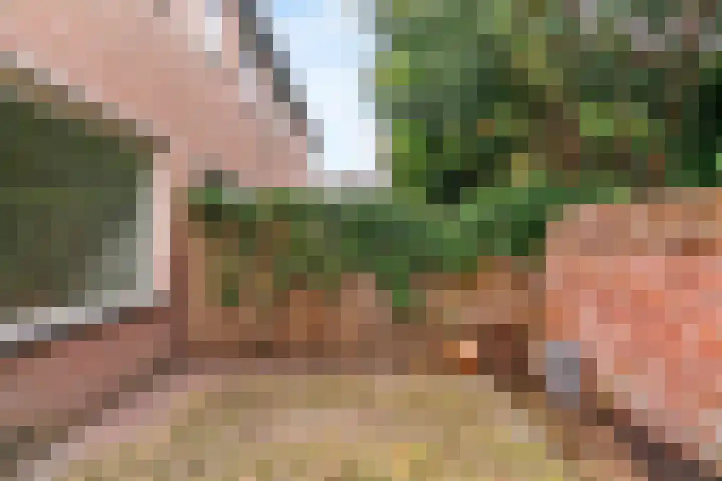 1e Tuindwarsstraat 4 Alkmaar thumbnail 20