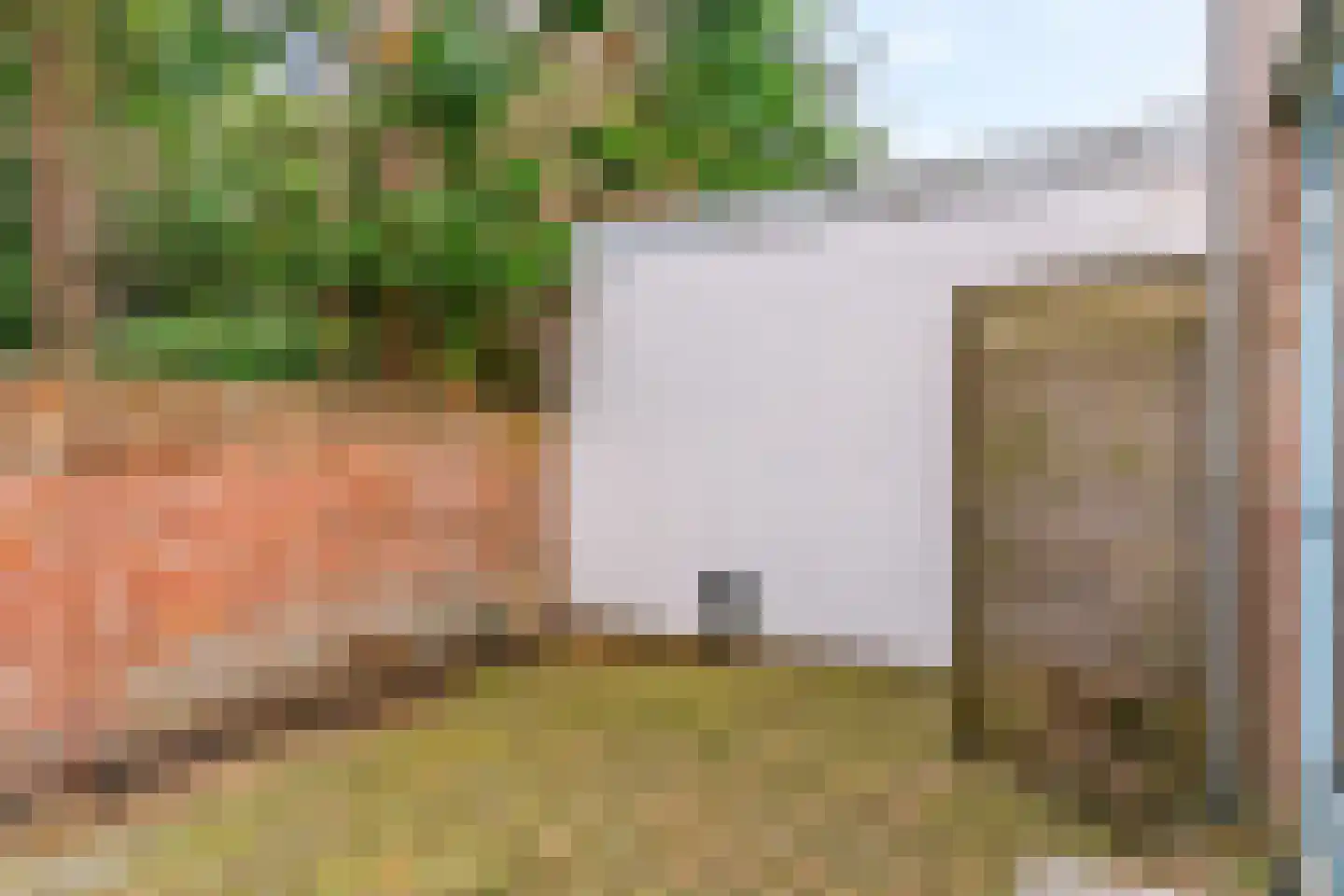 1e Tuindwarsstraat 4 Alkmaar thumbnail 21