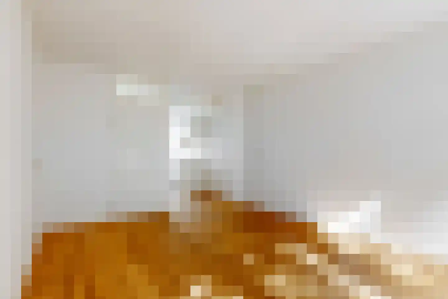1e Tuindwarsstraat 4 Alkmaar thumbnail 8
