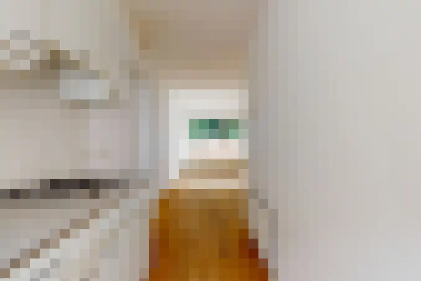 1e Tuindwarsstraat 4 Alkmaar thumbnail 9