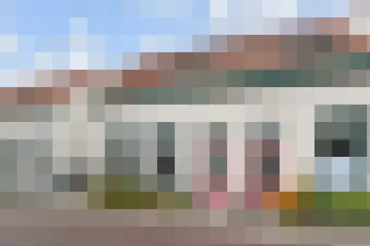 1e Van Reenenstraat 10 en Honselersdijk