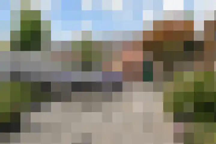 1e Van Reenenstraat 10 Honselersdijk thumbnail 11
