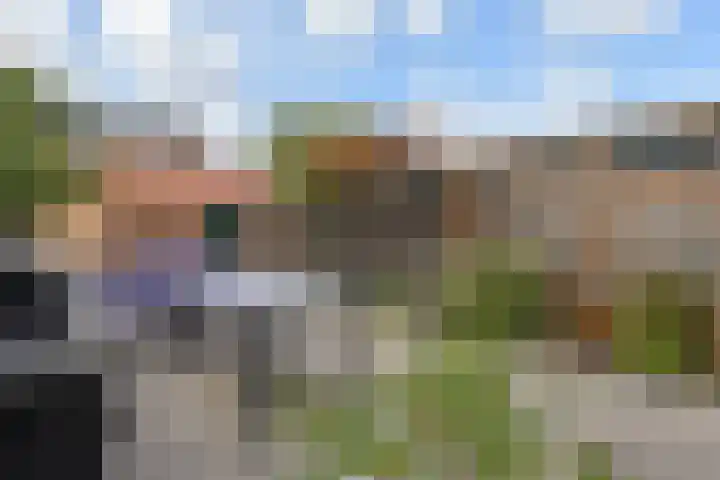 1e Van Reenenstraat 10 Honselersdijk thumbnail 12