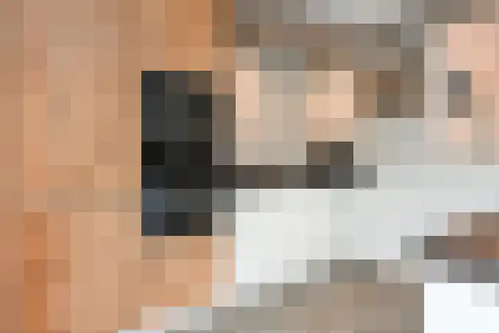 1e Van Reenenstraat 10 Honselersdijk thumbnail 14