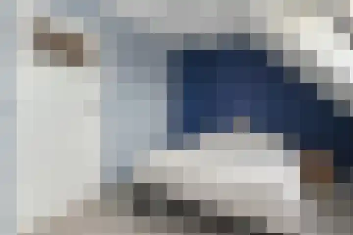 1e Van Reenenstraat 10 Honselersdijk thumbnail 20