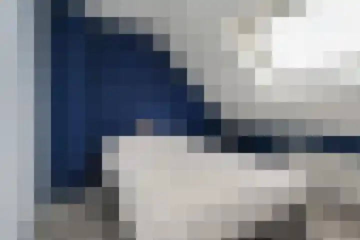 1e Van Reenenstraat 10 Honselersdijk thumbnail 21
