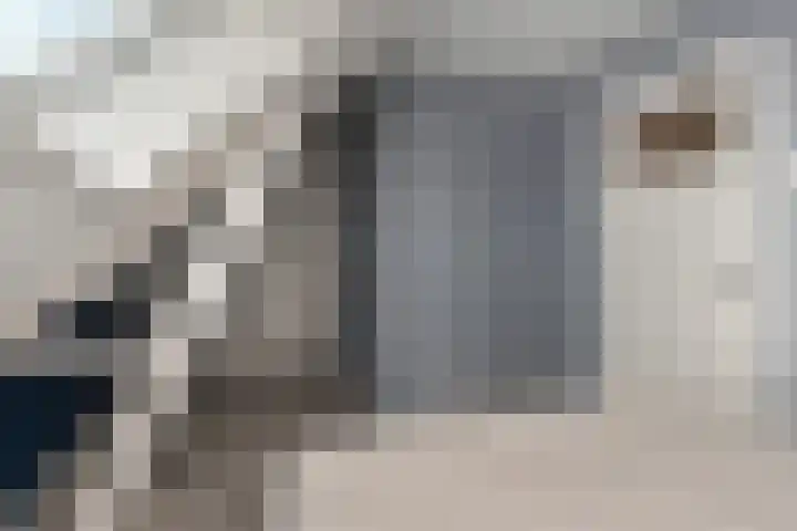 1e Van Reenenstraat 10 Honselersdijk thumbnail 22