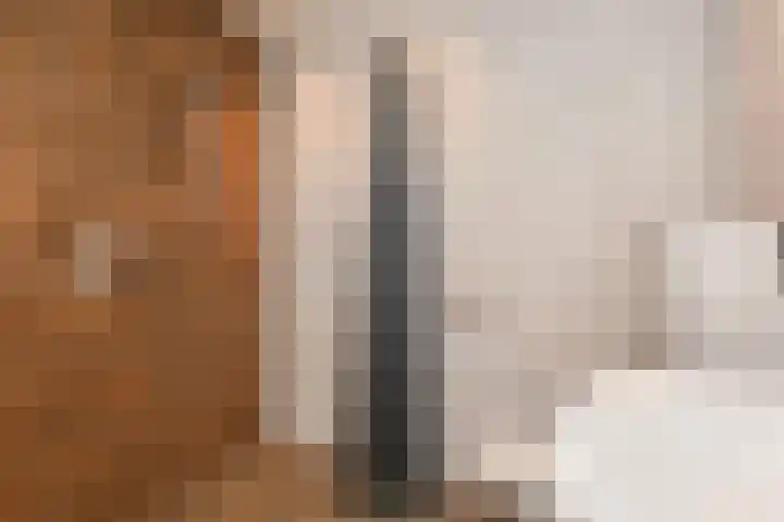 1e Van Reenenstraat 10 Honselersdijk thumbnail 29