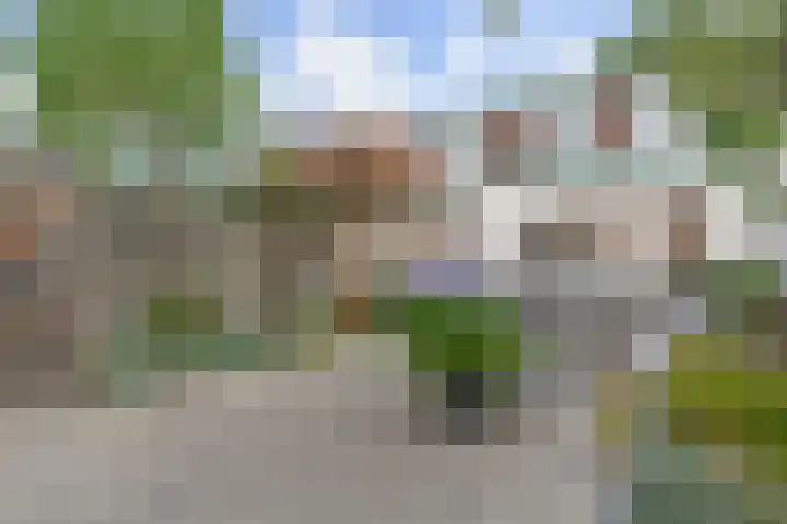 1e Van Reenenstraat 10 Honselersdijk thumbnail 33