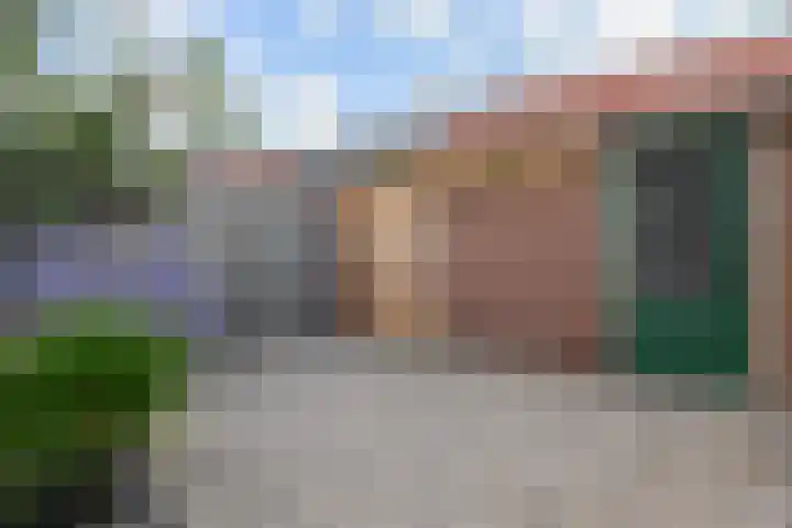 1e Van Reenenstraat 10 Honselersdijk thumbnail 34