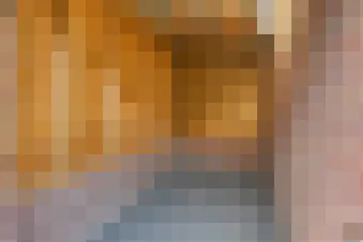 1e Van Reenenstraat 10 Honselersdijk thumbnail 35
