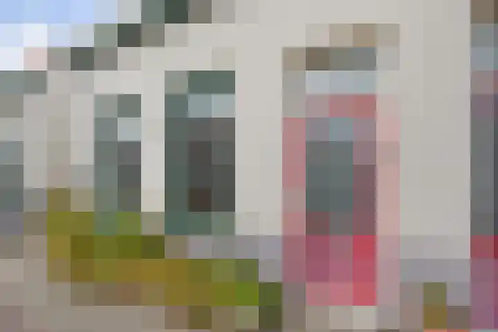 1e Van Reenenstraat 10 Honselersdijk thumbnail 38