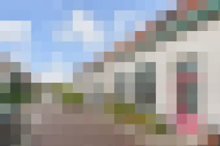 1e Van Reenenstraat 10 Honselersdijk thumbnail 39