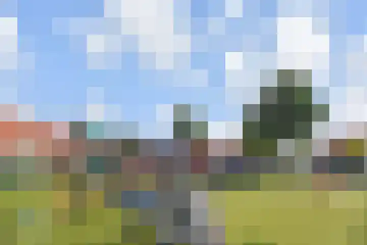 1e Van Reenenstraat 10 Honselersdijk thumbnail 40