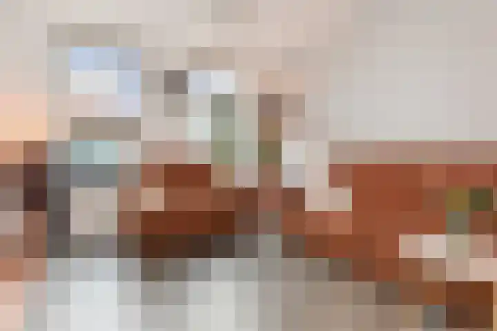 1e Van Reenenstraat 10 Honselersdijk thumbnail 5