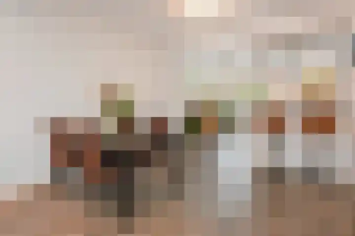 1e Van Reenenstraat 10 Honselersdijk thumbnail 6